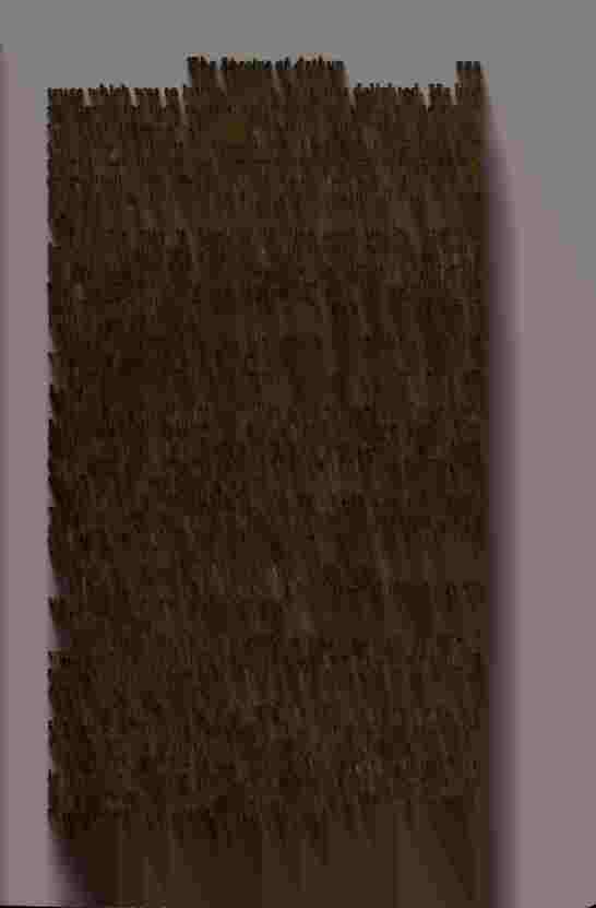 The Prince of Darkness _452.jpg