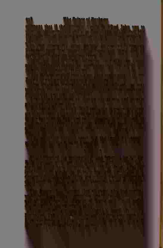 The Prince of Darkness _478.jpg