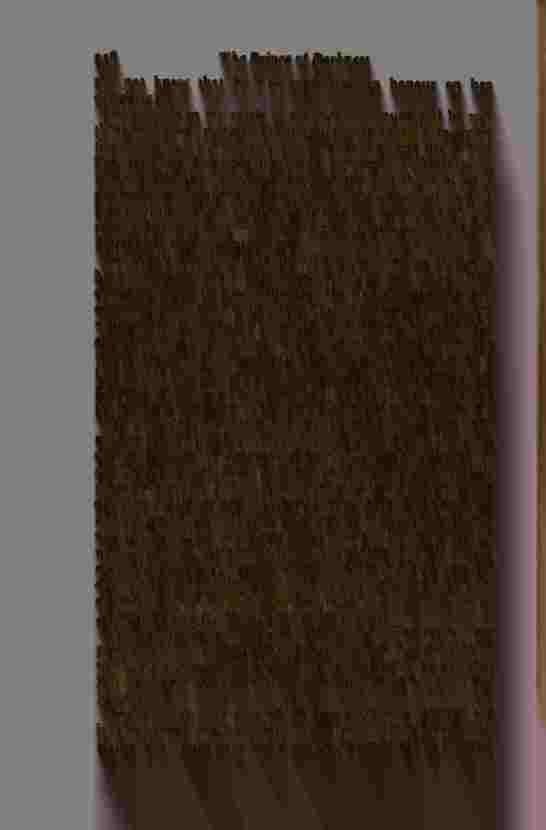 The Prince of Darkness _514.jpg