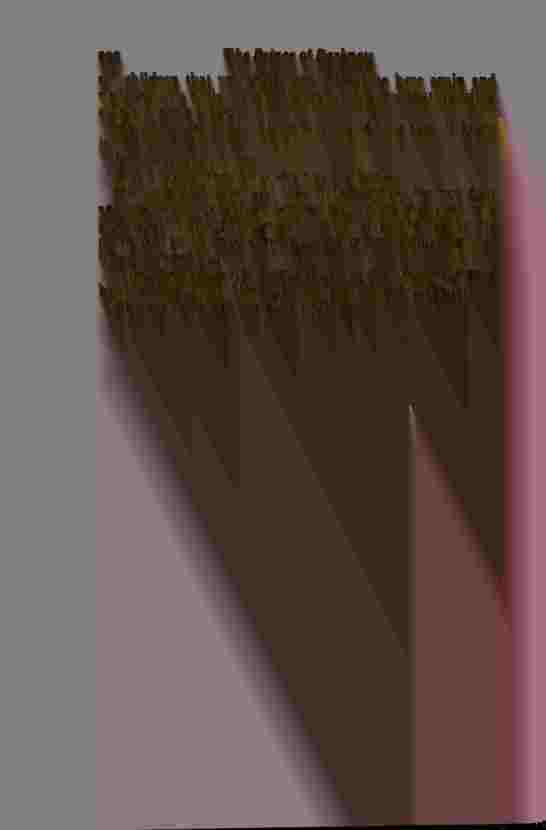 The Prince of Darkness _586.jpg