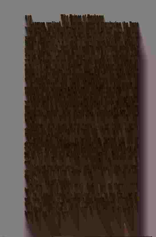 The Prince of Darkness _622.jpg