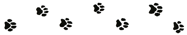 Кулисы, или Посторонним вход разрешен! i_008.png