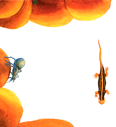 Черт-те что, или Праздник первого зуба i_013.png