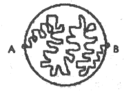 Макроскоп (др. перевод) i_019.png