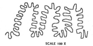Макроскоп (др. перевод) i_020.png