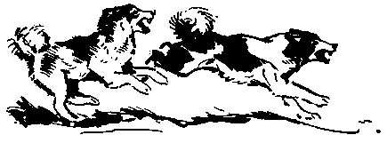 Земля Санникова (илл. Г. Никольского) pic_20.png