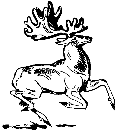 Земля Санникова (илл. Г. Никольского) pic_21.png