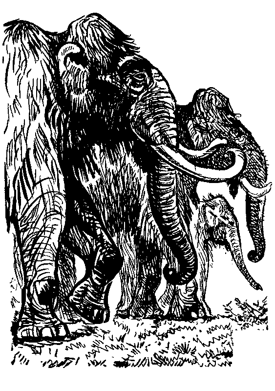 Земля Санникова (илл. Г. Никольского) pic_38.png