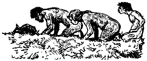Земля Санникова (илл. Г. Никольского) pic_39.png