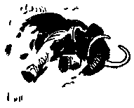 Земля Санникова (илл. Г. Никольского) pic_8.png