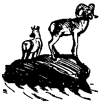 Земля Санникова (илл. Г. Никольского) pic_50.png