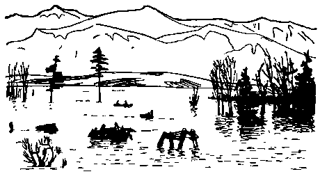 Земля Санникова (илл. Г. Никольского) pic_51.png