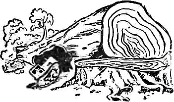 Интересно знать i_020.png