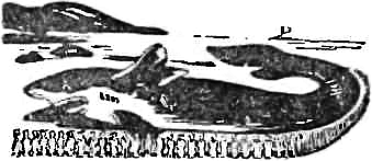 Интересно знать i_022.png