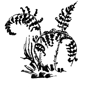 Походная книга муми-тролля i_065.png