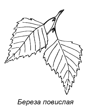 Походная книга муми-тролля i_074.png