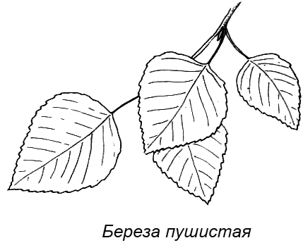 Походная книга муми-тролля i_075.png