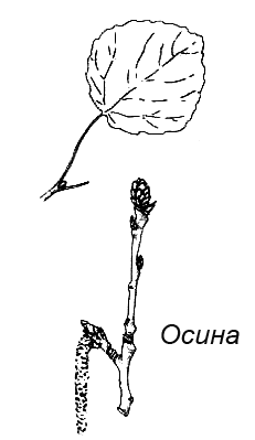 Походная книга муми-тролля i_076.png