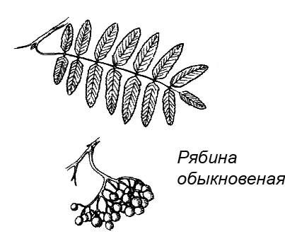 Походная книга муми-тролля i_081.png