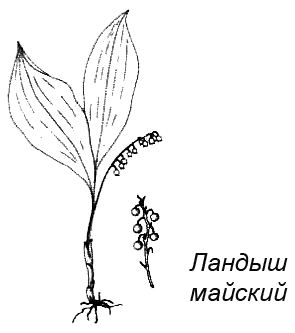 Походная книга муми-тролля i_083.png