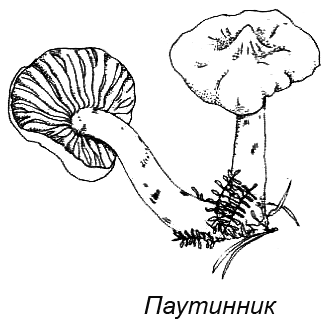 Походная книга муми-тролля i_085.png