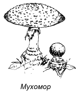 Походная книга муми-тролля i_086.png