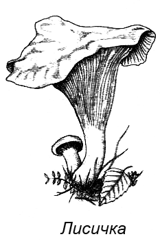 Походная книга муми-тролля i_087.png