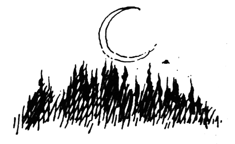 Походная книга муми-тролля i_090.png