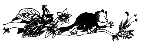 Походная книга муми-тролля i_092.png