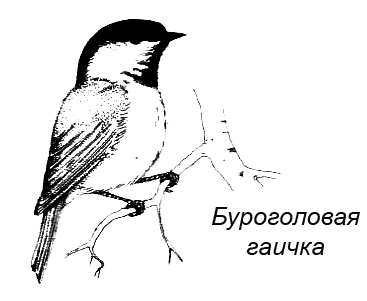 Походная книга муми-тролля i_100.png