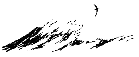 Походная книга муми-тролля i_101.png