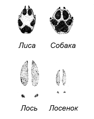 Походная книга муми-тролля i_106.png