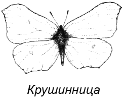 Походная книга муми-тролля i_111.png
