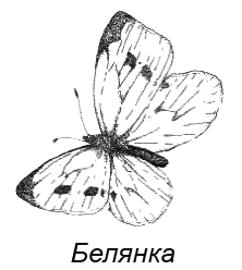 Походная книга муми-тролля i_112.png