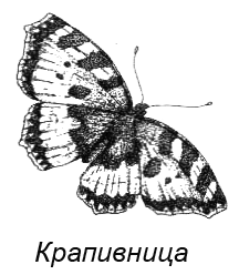 Походная книга муми-тролля i_113.png