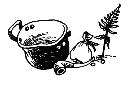 Походная книга муми-тролля i_133.png