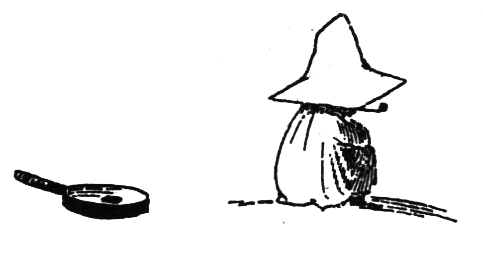 Походная книга муми-тролля i_138.png