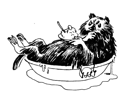 Походная книга муми-тролля i_142.png