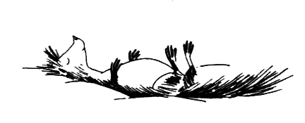 Походная книга муми-тролля i_047.png