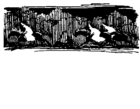 Черный ураган. Честный Эйб pic_58.png