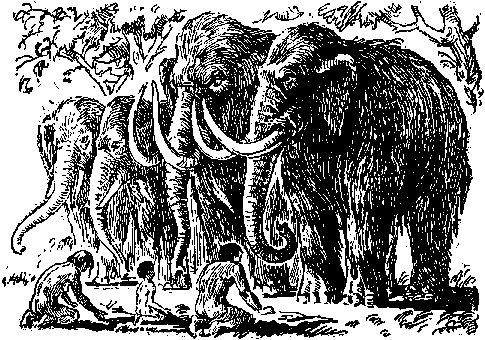 Земля Санникова (илл. Л. Владимирского) pic_29.png