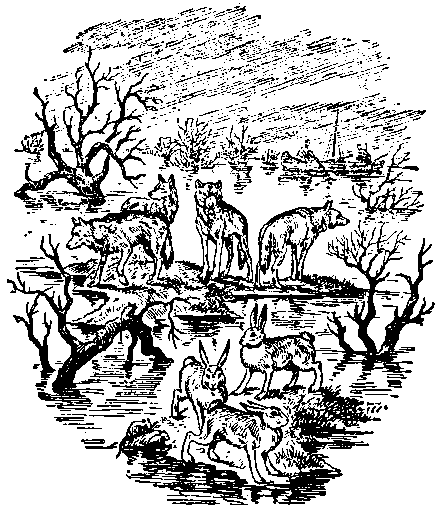 Земля Санникова (илл. Л. Владимирского) pic_37.png