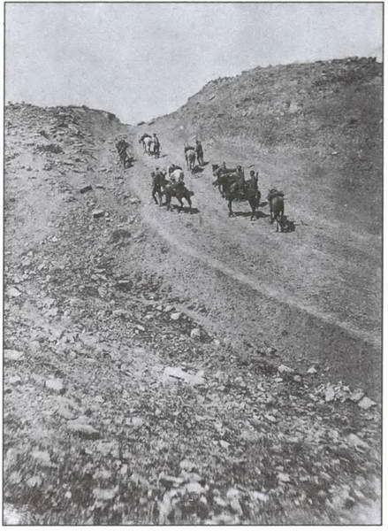 Великая война на Кавказском фронте. 1914-1917 гг. i_025.jpg