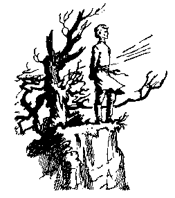 Тимофей с Холопьей улицы. Ханский ярлык pic_25.png