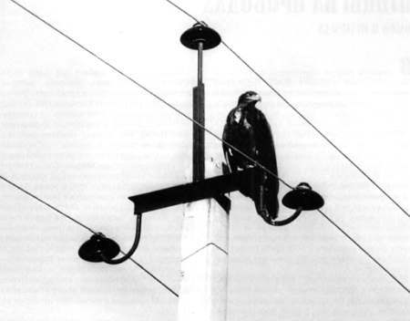 Полное собрание сочинений. Том 13. Запечатленные тайны _02.jpg