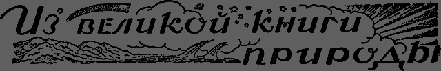 Всемирный следопыт 1930 № 05 _45_izknigi.png
