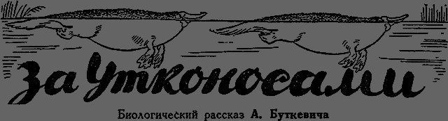 Всемирный следопыт 1929 № 11 _20_zautkonosami.png