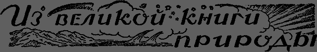 Всемирный следопыт 1929 № 11 _44_izknigi.png