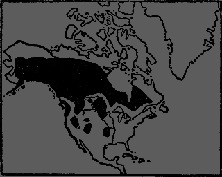 Всемирный следопыт 1929 № 11 _47_galereya1.png