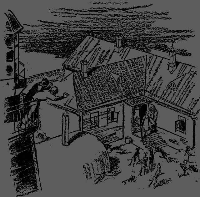 Всемирный следопыт 1929 № 08 _17_str588.png